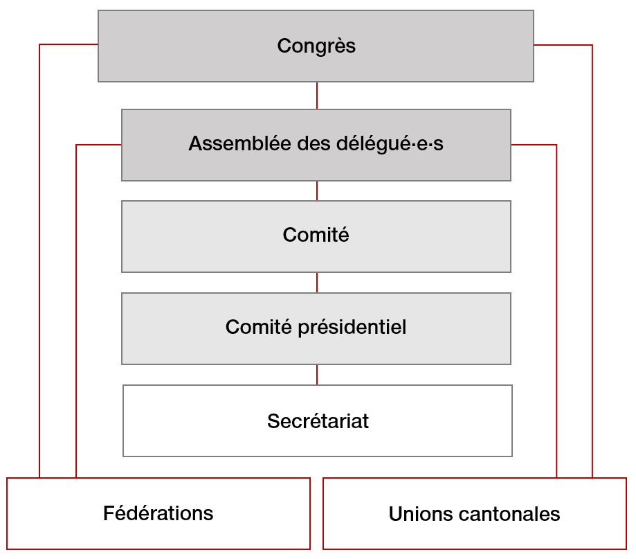 Organigramme