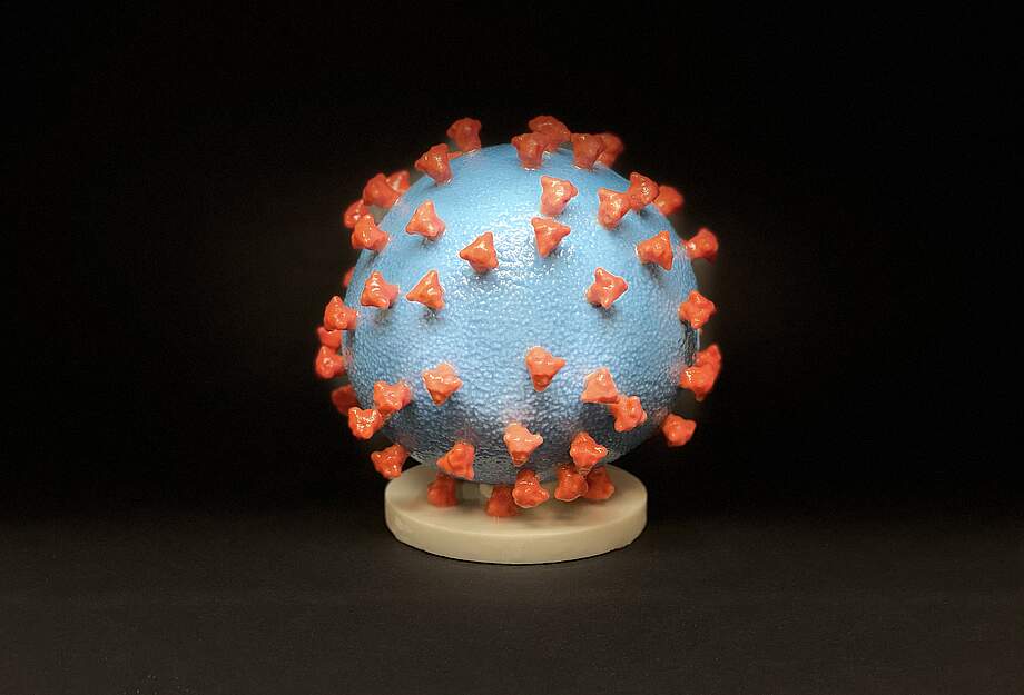 3D-Modell des Coronavirus